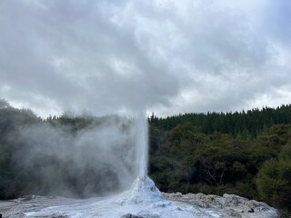Lady Knox Geyser, Wai-O-Tapu Thermal Wonderland, Rotorua, North Island of New Zealand