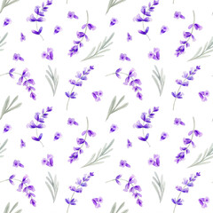 Watercolor lavender hand painted illustration, herbal botanical seamless pattern