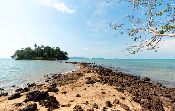 Scenic view of tropical coconut palm trees landscape on the island in Koh Nok Nork, Koh Kradad, Trat province, Gulf of Thailand.