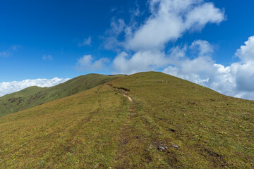 Fototapeta premium Beautiful wide-open grassland in the mountain. Mesmerizing landscape in Bajura, Nepal. Green wide meadow at the end of summer.