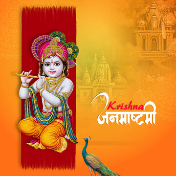 Indian festival of happy shree Krishna janmashtami with peacock , happy Krishna janmashtami.