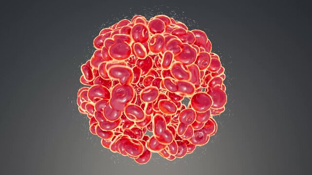 A clot of pulsating blood cells. A study of blood.