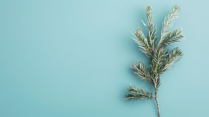 Fototapeta premium winter object ornament fir tree isolated on blue pastel trendy background