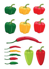 A set of bell and hot peppers of different colors and shapes. Growing vegetables. Organic gardening and food. Vegetarianism and healthy eating. Vector illustration isolated on white background.