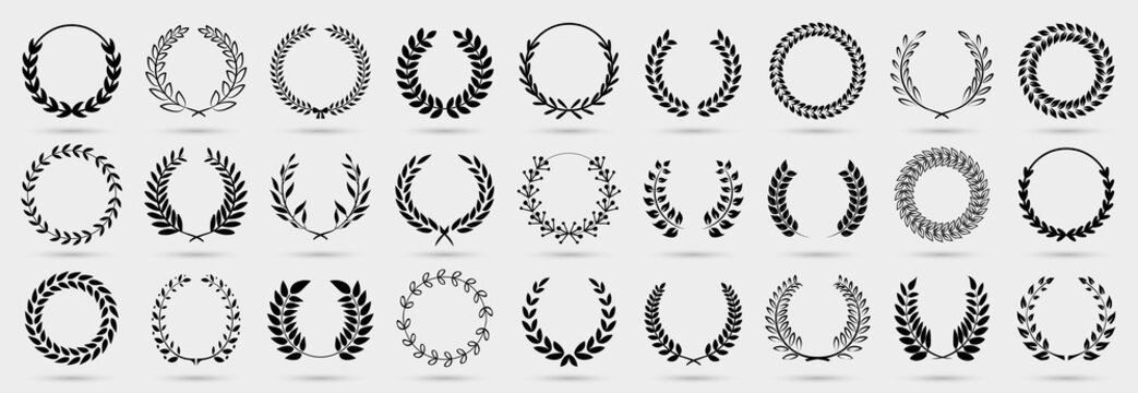 Floral wreath collection. Set of black laurel wreath element for winner, award, champion. Tree branch wreath