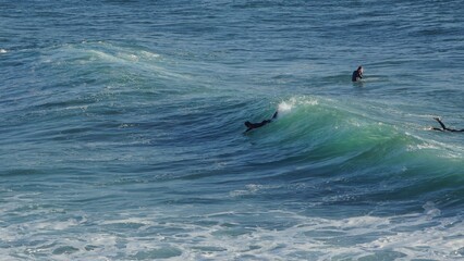Surfing / Riding waves at Banana Beach Agadir Morocco