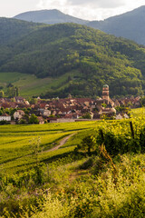 Naklejka premium Le clocher de l’église Sainte-Croix veille sur l’entrée de la vallée de Kaysersberg, Alsace, CeA, Grand Est, France