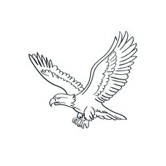 hand drawn eagle flying vector illustration