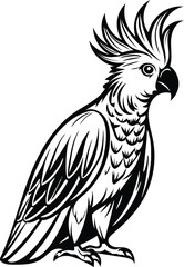 cockatoo silhouette vector art illustration