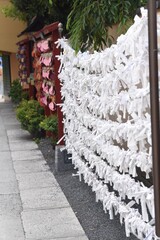 tokyo uens park wishes cards wall