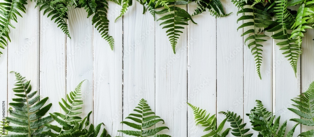 Poster fern displayed against a white wooden backdrop with copy space image.