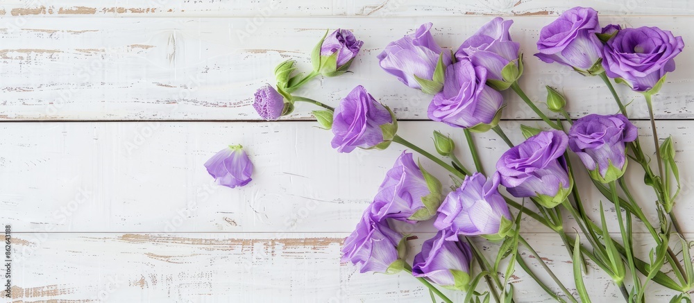 Aufkleber eustoma violet flowers displayed on a white wooden surface with available copy space image.