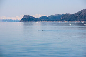 iceberg in the ocean