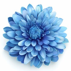 Obraz premium 3D blue chrysanthemum element