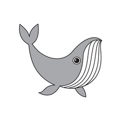 Dolphin Design