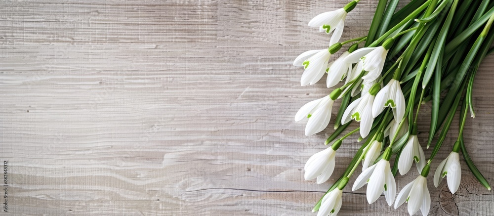 Poster Top view of spring snowdrops and paper as a text background for a holiday card with copy space image.