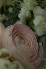 girly, cute, tender, beautiful bouquet. green, white and pink flowers. tulip, ranunculus, hydrangea, eucalyptus branches