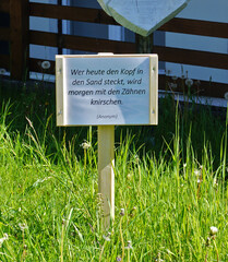 Aphorismus; Sinnspruch; Lebensweisheit 