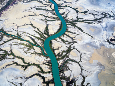 Aerial view of winding river with sand and branches, Accident Inlet, Gulf of Carpentaria, Karumba, Australia.