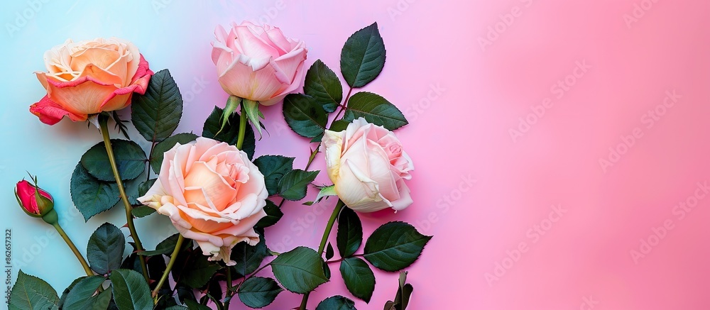 Poster Roses in vibrant hues on colorful backdrop with copy space image.