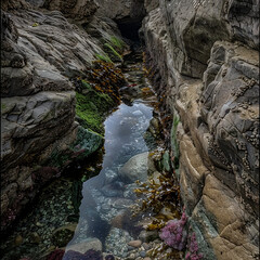 Rocky Coastal Tide Pool with Reflections under a Blue Sky, natural seascape, rugged shoreline, design template, World Oceans Day poster, environmental focus, banner, nature study