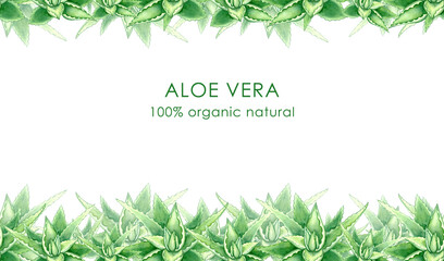 Obraz premium Seamless banner, endless print, border, frame. Hand drawn frame of green watercolor aloe vera illustration, one aloe vera element, green succulent on white background.
