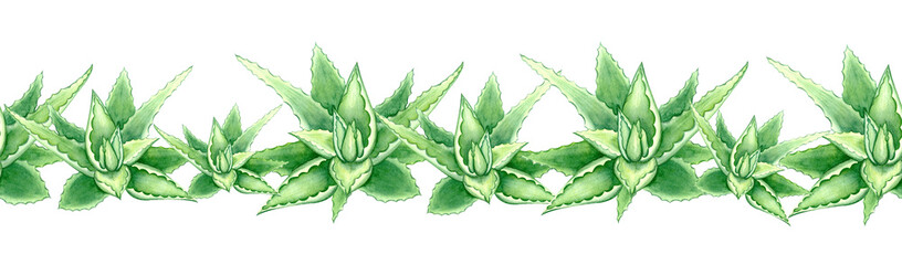 Seamless banner, endless print, border, frame. Hand drawn frame of green watercolor aloe vera illustration, one aloe vera element, green succulent on white background.
