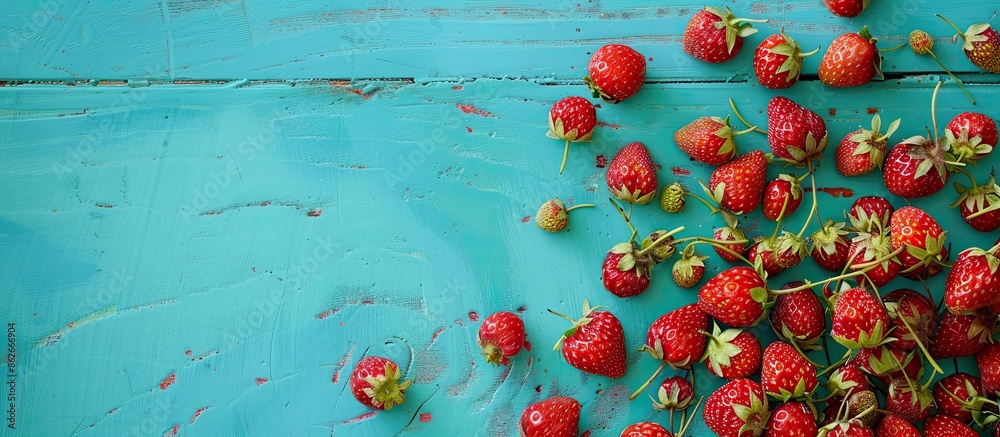 Poster fresh wild strawberries on a vibrant turquoise background with copy space image.