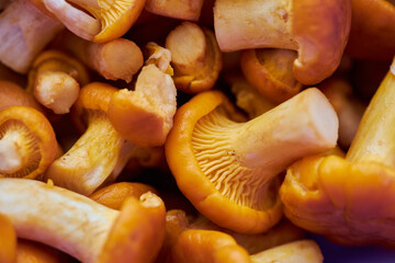 Time of summer mushrooms. Washed and peeled chanterelles