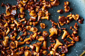Fried chanterelle mushrooms with rosemary and herbs in a frying pan. close-up.