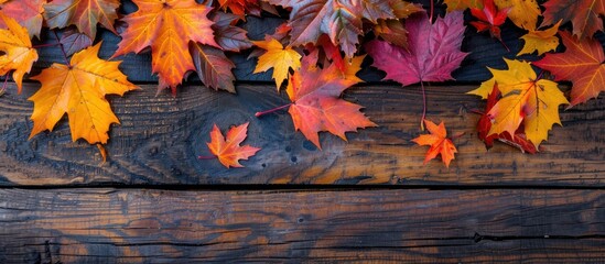 Autumn maple leaves in vibrant colors on a wooden backdrop with copy space image.