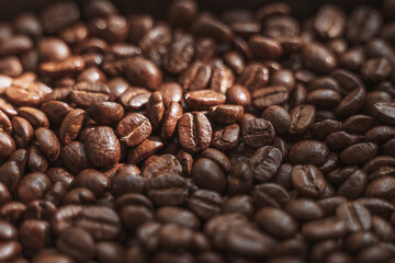 Close-up of roasted coffee beans with a rich, dark brown color and glossy texture, highlighted by soft sunlight.