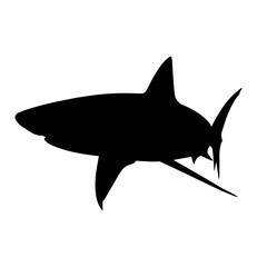 A black and white shark is shown in a silhouette