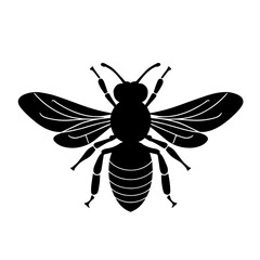 A black and white drawing of a bee