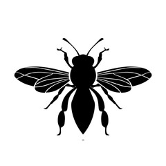 A black and white drawing of a bee