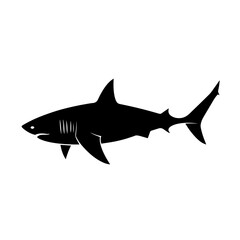 Obraz premium A black and white shark is swimming in the ocean