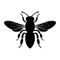 A black and white drawing of a bee