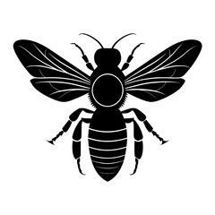A black and white drawing of a bee