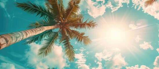 Tropical palm tree with sunlight against a blue sky and clouds creates a serene background for vacation and travel concepts with a vintage color style in the image's copy space.