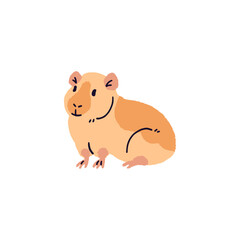 Happy American guinea pig with orange color of coat. Cute short hair cavy sitting. Fluffy domestic animal relaxes. Funny pet, rodent. Hand drawn flat isolated vector illustration on white background