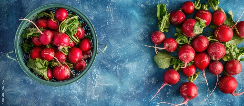 Poster top view of fresh radishes in a colander on a blue board with copy space image.