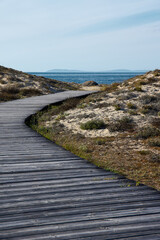 Vertical seascape with copy space. I walk between dunes towards a beach with the ocean in the background.