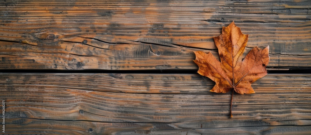 Poster Top view of a vintage wooden background with a single dry brown leaf in an autumn composition, providing copy space image.