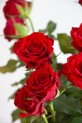 赤い薔薇