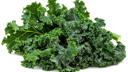 Obraz premium Fresh kale bunch, curly and dark green, perfectly isolated and presented , suitable for superfood marketing or green smoothie recipes