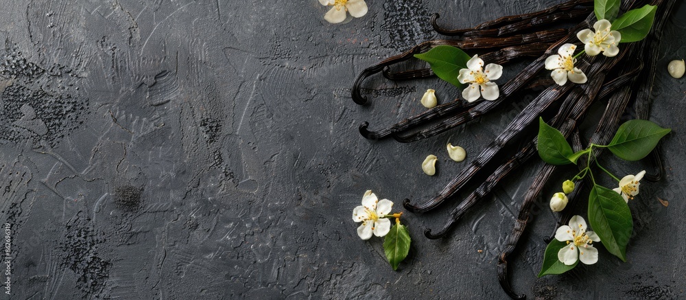 Fototapete Top-down view of vanilla pods, leaves, and flowers arranged on a textured gray table, with ample space for text alongside the image.
