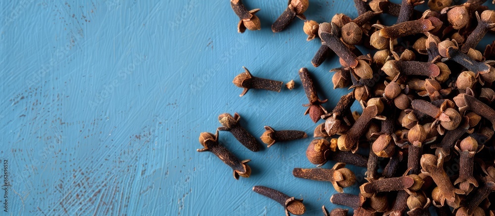Poster on the right, brown whole clove grains rest on a blue backdrop in a side view copy space image, show