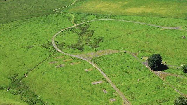 Aerial view of lush green fields, vibrant meadow, and serene countryside, Stobs Camp, Hawick, Scotland, United Kingdom.