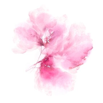 Pink watercolor flower for greeting card decor. Wedding invitation decorative element. Hand drawn delicate peony.