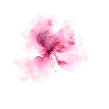 Pink watercolor flower for greeting card decor. Wedding invitation decorative element. Hand drawn delicate peony.